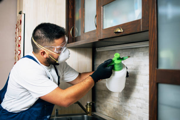 Best Bed Bug Extermination  in West Rancho Dominguez, CA
