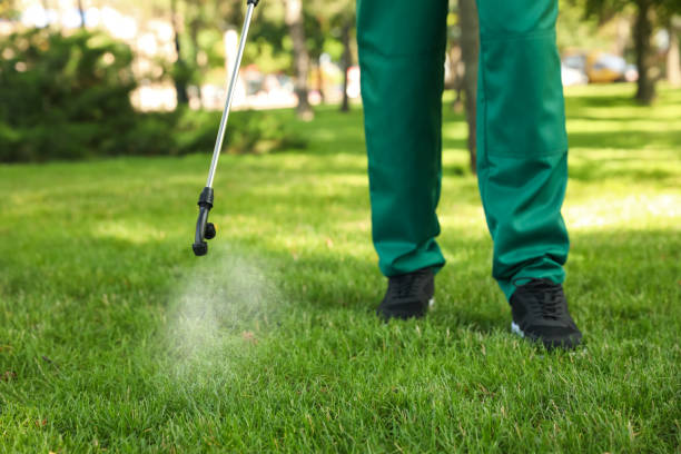 Best Rat Extermination Near Me  in West Rancho Dominguez, CA