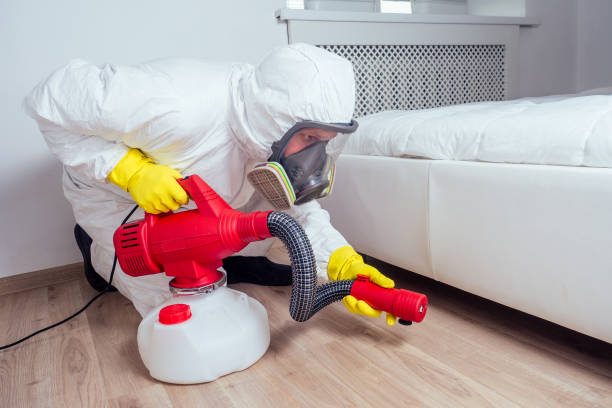 Best Pest Prevention Services  in West Rancho Dominguez, CA